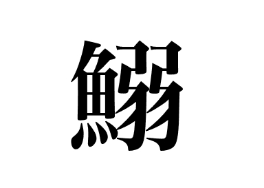 Japanische Sardine (Iwashi)