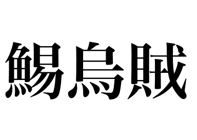 Japanese common squid (Surume ika)