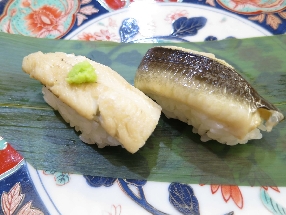 Japanischer Meeraal (Anago)